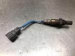 SONDE LAMBDA Daihatsu Sirion 2 (M3) (89465B1023), Utilisé, Daihatsu