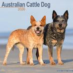 Australische kalender voor veehonden 2026, Ophalen of Verzenden, Jaarkalender, Nieuw