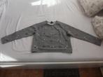 damestrui maat S, Vêtements | Femmes, Pulls & Gilets, H&M, Gris, Enlèvement ou Envoi, Taille 36 (S)
