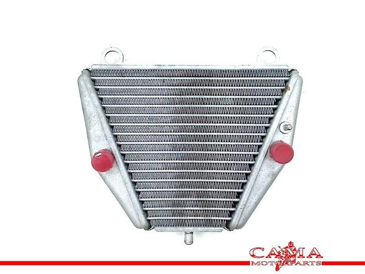 OLIEKOELER Ducati Panigale V4 2018- (01-2018/-) (54811363A), Motoren, Onderdelen | Ducati, Gebruikt