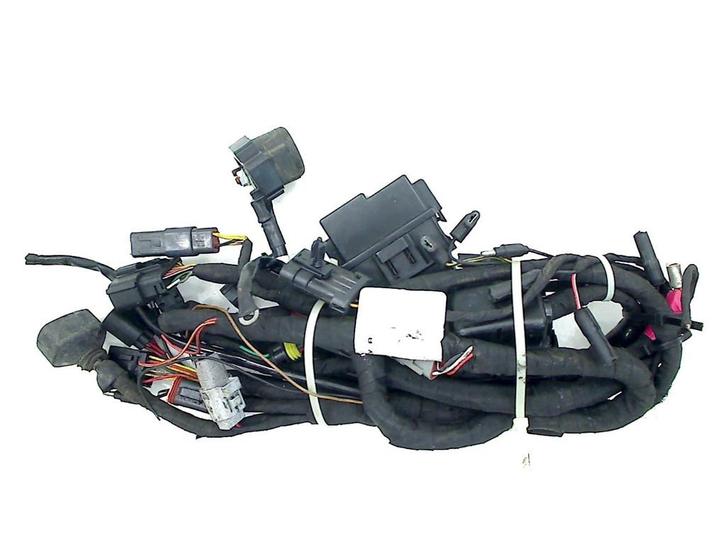 KABELBOOM Buell 1125 R 2008-2010 (v0317.1amc.c), Motoren, Onderdelen | Overige, Gebruikt