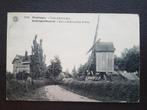 Postkaart Scherpenheuvel Molen Windmolen Moulin, Ophalen of Verzenden, Voor 1920, Gelopen, Vlaams-Brabant