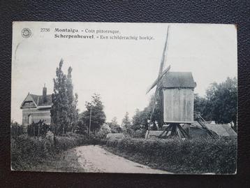 Postkaart Scherpenheuvel Molen Windmolen Moulin beschikbaar voor biedingen