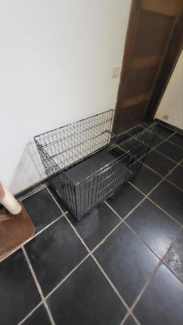 Cage pour chien  beschikbaar voor biedingen