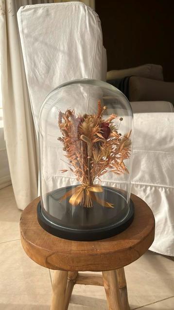 Droogbloemen stolp beschikbaar voor biedingen