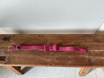 Halsbanden hond  beschikbaar voor biedingen
