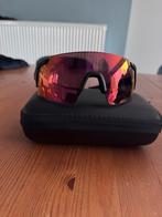 Zonnebril-fietsbril, Zonnebril, Zwart, Zo goed als nieuw, Ophalen