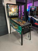 Magnifique flipper Bally Blackwater 100 Pinball, Bally, Flipper (jeu), Enlèvement, Imprimante matricielle