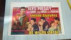 Filmposter Elvis Presley Wild in the Country, Verzamelen, Posters, Ophalen of Verzenden