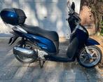 Honda- Scooter, Motoren, Motoren | Honda, Scooter, 300 cc, Particulier, 1 cilinder