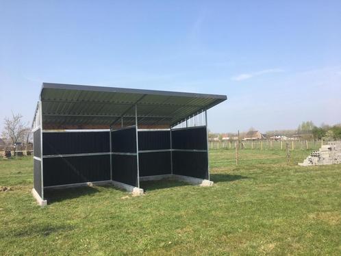 Paardenboxen,buitenboxen,buitenstal,buitenstalling,stallen,, Dieren en Toebehoren, Stalling en Weidegang, Opfok, Stalling, Weidegang