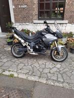Moto Triumph Tiger 1050 à vendre, Motoren, Motoren | Triumph