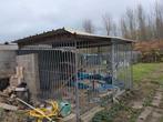 Hondenhok 3m op 3m, Dieren en Toebehoren, Ophalen of Verzenden, Zo goed als nieuw