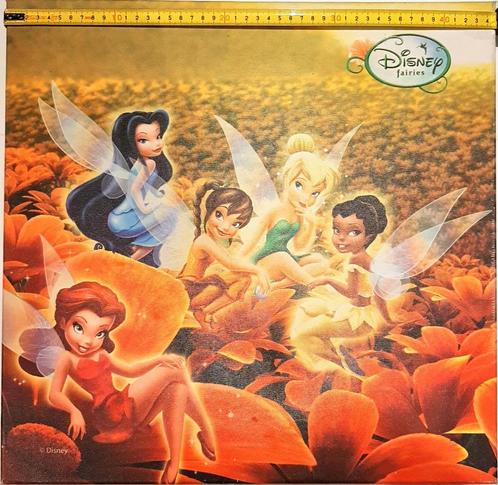 Tinkelbel doek op Canvas, Verzamelen, Disney, Zo goed als nieuw, Plaatje of Poster, Overige figuren, Ophalen