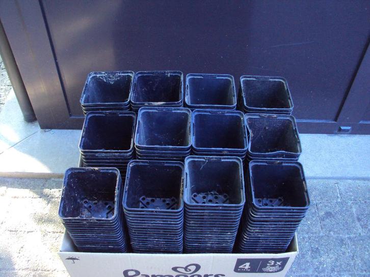 Stekpotjes / Kweekpotjes / Plantenpotjes / 200 stuks, Tuin en Terras, Kweekspullen, Ophalen of Verzenden