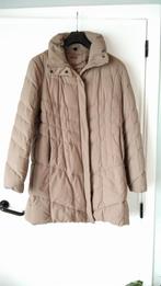 Winterjas D'Auvry maat 42, Kleding | Dames, Jassen | Winter, Ophalen of Verzenden, Maat 42/44 (L)