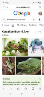 Koraalteenboom kolket, Dieren en Toebehoren