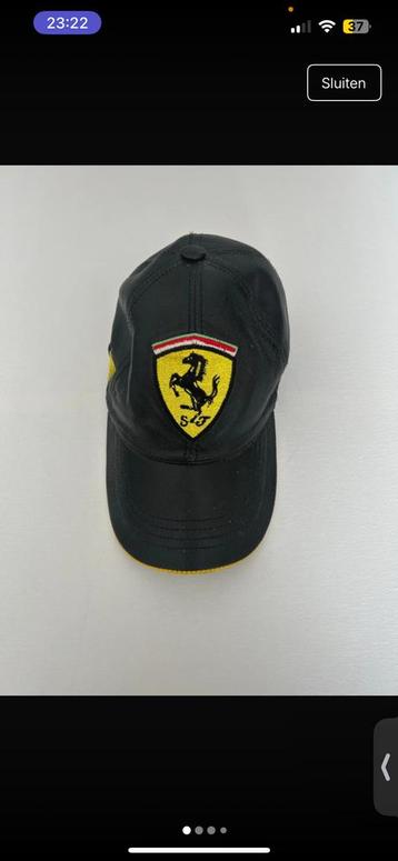 ferrari pet