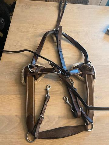 5 puntsmartingaal QHP, hoefschoenen Flexhorse beschikbaar voor biedingen