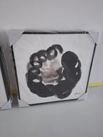 Canvas Juntoo, Antiek en Kunst, Ophalen