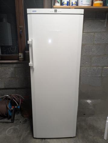 Liebherr No Frost vriezer, Elektronische apparatuur, Gebruikt, 160 cm of meer, Vrijstaand, Ophalen