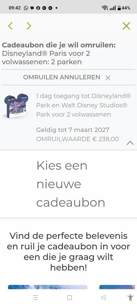 Bongo bon te koop, Tickets en Kaartjes, Kortingen en Cadeaubonnen, Cadeaubon, Arrangement