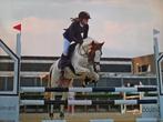Brave 5-jarige C-pony ruin, Dieren en Toebehoren, Gechipt, Ruin, Springpony, 3 tot 6 jaar