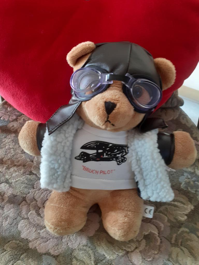 Teddy Beer Bruch Pilot en Polar Pilot, Ophalen of Verzenden