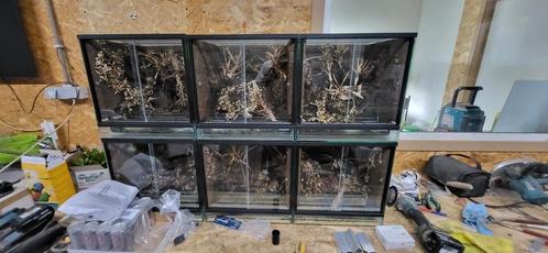 Paludarium, Dieren en Toebehoren, Reptielen en Amfibieën | Toebehoren, Zo goed als nieuw, Ophalen
