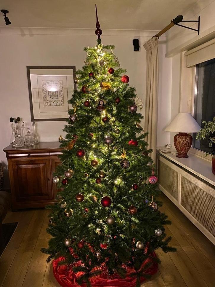 Kerstboom Cambridge - Merk Van der Gucht, Diversen, Kerst, Zo goed als nieuw, Ophalen