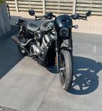 Harley Nightster, Motoren, Motoren | Harley-Davidson, 2 cilinders, ABS, Motorrijbewijs A, Particulier
