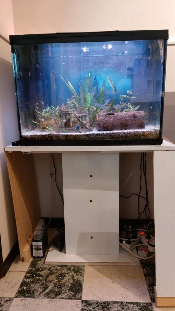 Superfish aquarium,vissen&acces. Prijs bespreekbaar, Dieren en Toebehoren, Vissen | Aquaria en Toebehoren, Gebruikt, Gevuld zoetwateraquarium