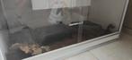 Terrarium 120x60x60 te koop, Dieren en Toebehoren, Reptielen en Amfibieën | Toebehoren, Ophalen