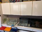 Verschillende kleine kale aquariums, Dieren en Toebehoren, Ophalen, Gebruikt, Leeg aquarium