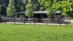 STAL TE HUUR (vol pension), Dieren en Toebehoren, Stalling