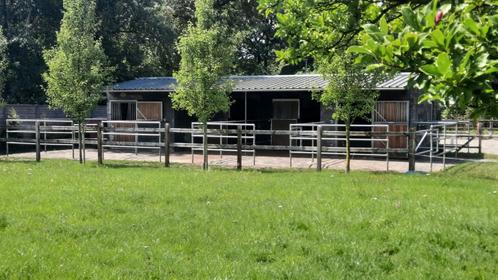 STAL TE HUUR (vol pension), Dieren en Toebehoren, Stalling en Weidegang, Stalling