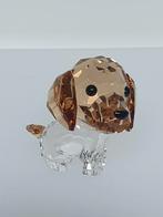 Swarovski Puppy Max the Beagle 5063329., Ophalen of Verzenden, Zo goed als nieuw