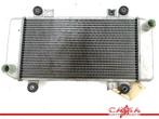 RADIATEUR EAU Kawasaki ZX 250 R (Ninja ZX250R) (220003741), Motos, Utilisé