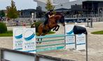 Training van sportpaarden en pony's, Dieren en Toebehoren, Ophalen