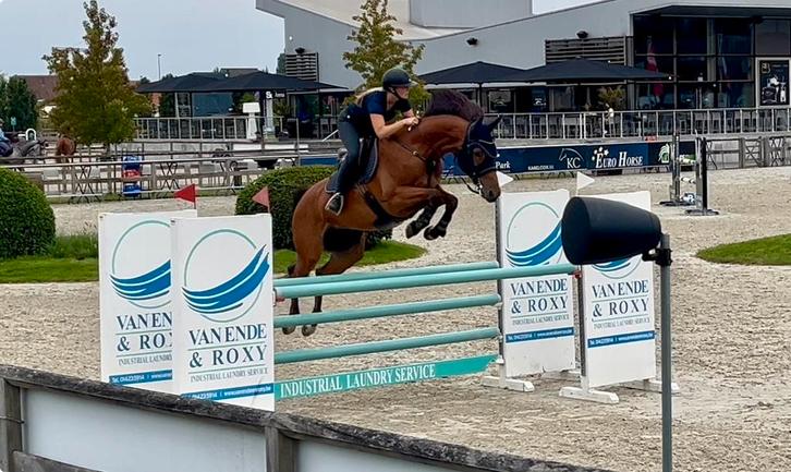 Training van sportpaarden en pony's, Dieren en Toebehoren, Paarden en Pony's | Trailers en Aanhangwagens, Ophalen