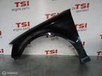 Orig. Carbon Zijscherm Links 8P0821021B Audi RS3 8P LZ9Y, Auto-onderdelen, Ophalen, Gebruikt, Audi