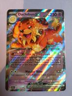 067 Dachsbun ex - Stellar Crown - Pokémon, Ophalen of Verzenden, Zo goed als nieuw, Losse kaart, Foil