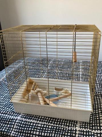 Cage pour perroquets, Animaux & Accessoires, Perroquet