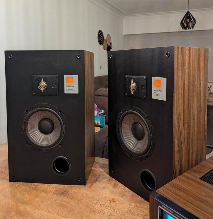 JBL TLX4 krachtige luidsprekers. Zeer mooie staat, Audio, Tv en Foto, Luidsprekerboxen, Zo goed als nieuw, JBL, Ophalen