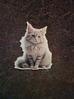 Magneet maine coon kat, Verzenden