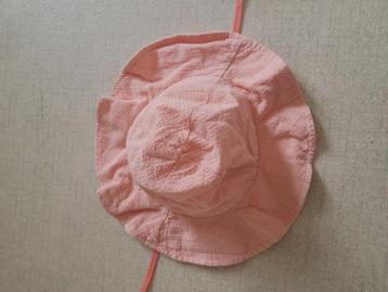 Zonnehoedje baby beschikbaar voor biedingen