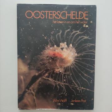 Oosterschelde, het leven in en om het water beschikbaar voor biedingen