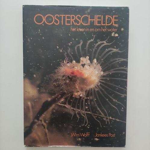 Oosterschelde, het leven in en om het water, Boeken, Natuur, Ophalen of Verzenden