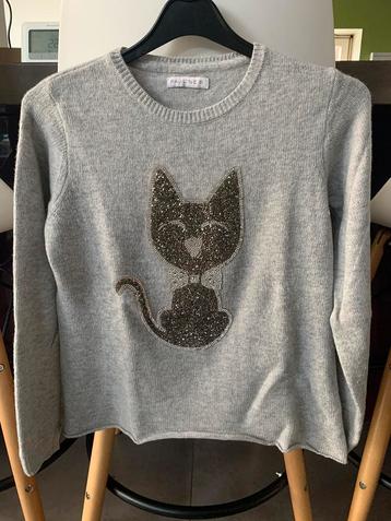 Mooie grijze trui met pallets poes pauline B beschikbaar voor biedingen