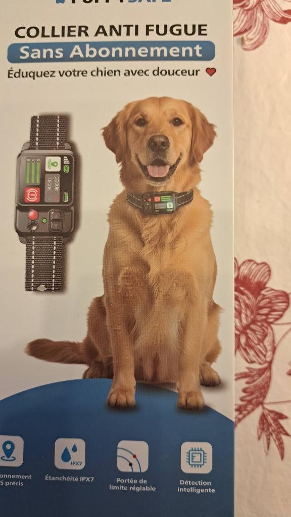Collier anti-fugue chien, Enlèvement ou Envoi, Neuf